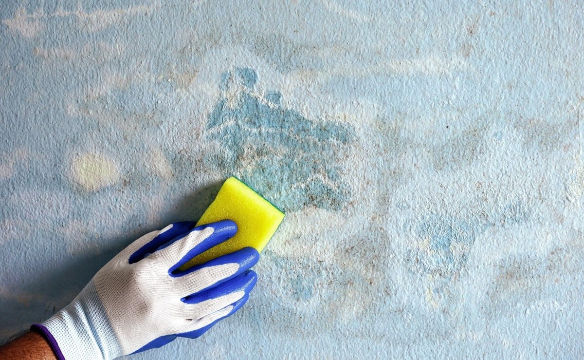 cement wall cleaning